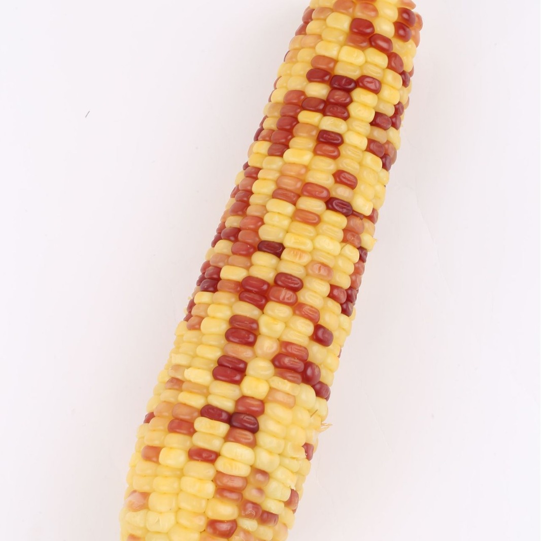 Special flower Sweet glutinous 12 independent packaging nutrition breakfast snacks northeast specialty quick-frozen incubator + ice bag