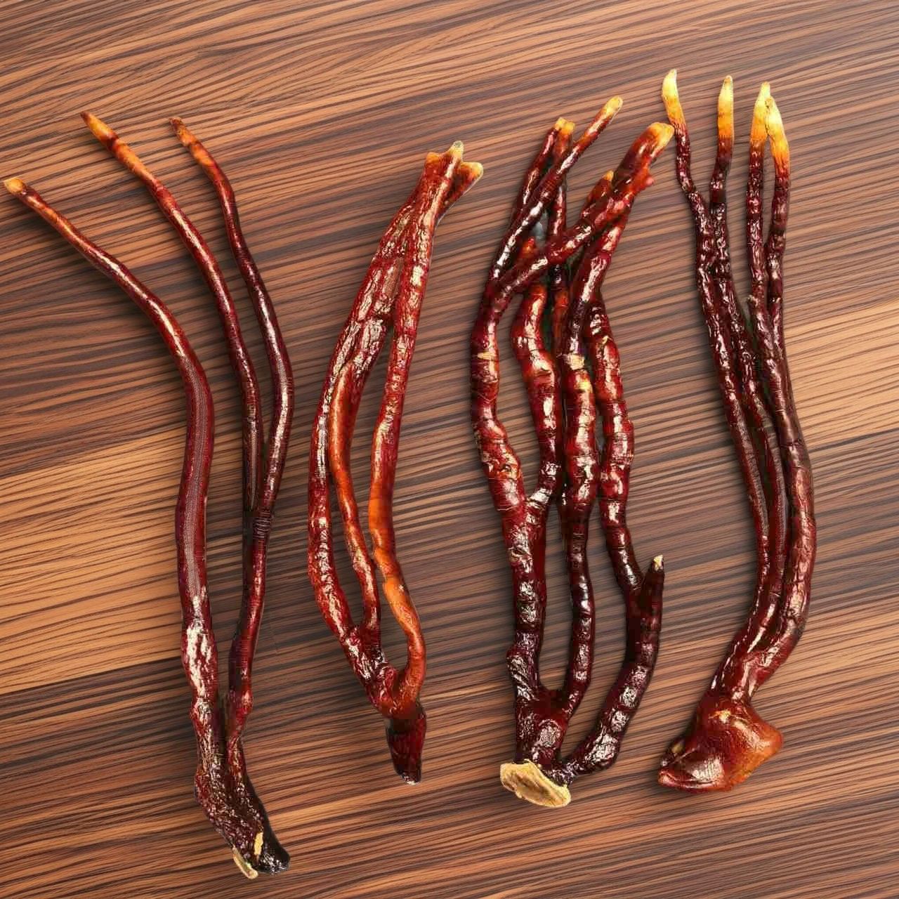 Deer Antler Ganoderma Lucidum Spore Body, High-Quality Raw Materials from Changbai Mountain, All Categories of Ganoderma Lucidum Origin Manufacturers