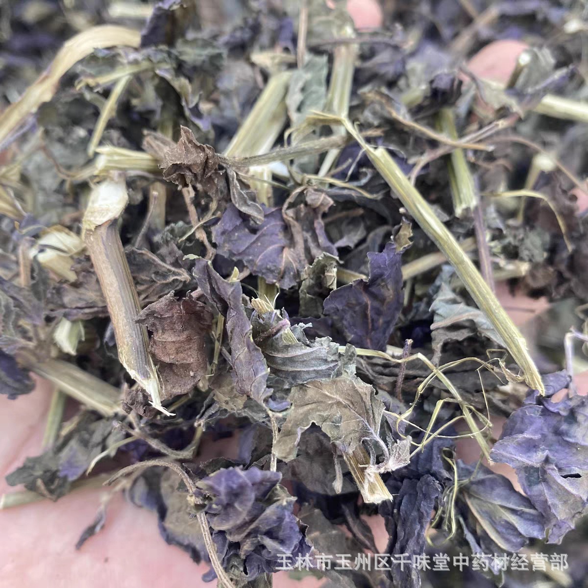 Authentic Chinese Herbal Medicine Perilla Leaves, Dried Perilla Stems from Guangxi, Sulfur-Free, Wholesale Bulk Medicinal Sulfur-Free Perilla Leaves