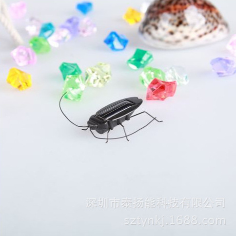 Solar Cockroach Puzzle Insect Model Animal Model Horror