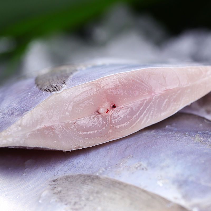 Fresh Frozen White Pomfret, Silver Pomfret, Pomfret, Sea Bass, Frozen Large Pomfret, Flatfish, Seafood Barbecue Aquatic Products 500g