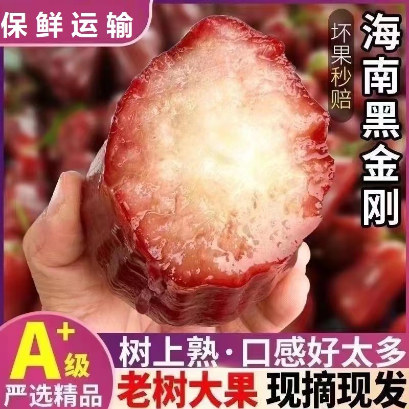 Hainan Lotus Mist 2.5kg Fresh Fruit Tropical Black Diamond Lotus Mist Fruit Hydrating Fairy Fruit 0.5kg-1.5kg