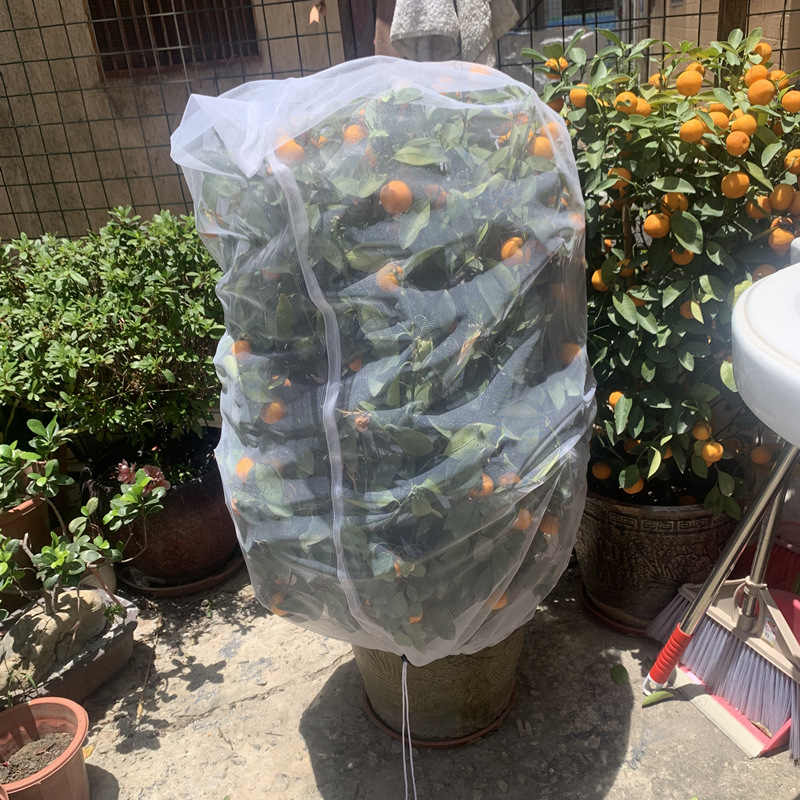 Landscape Tree insect-proof net flower and wood insect-proof net bag drawstring drawstring drawstring insect-proof bag flower and fruit insect-proof net bird-proof net cover