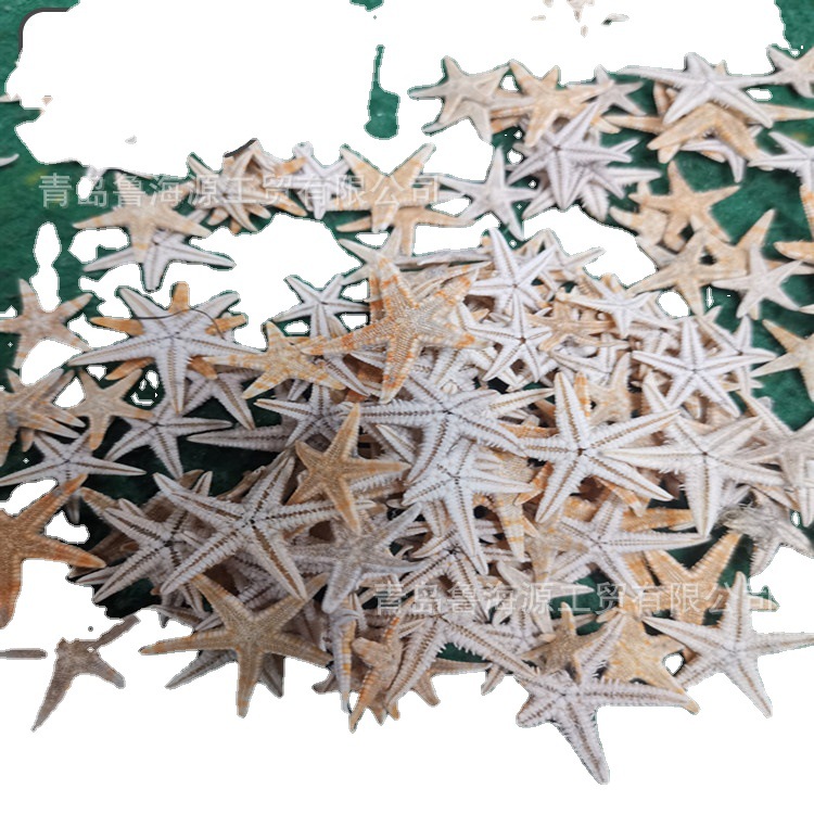 Handmade starfish beige starfish five-finger starfish flat starfish Mediterranean shooting props jewelry 1-2cm