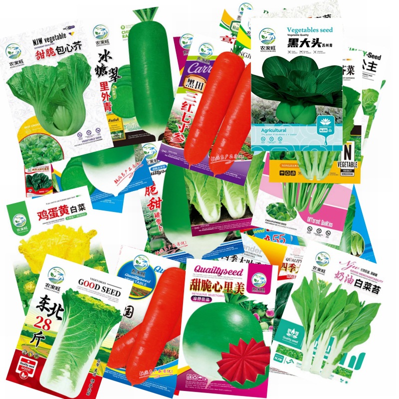 Autumn and Winter Various Vegetable Seeds, Chinese Cabbage Seeds, Seedlings with High Germination Rate, New Varieties of Rapeseed Wholesale Companies