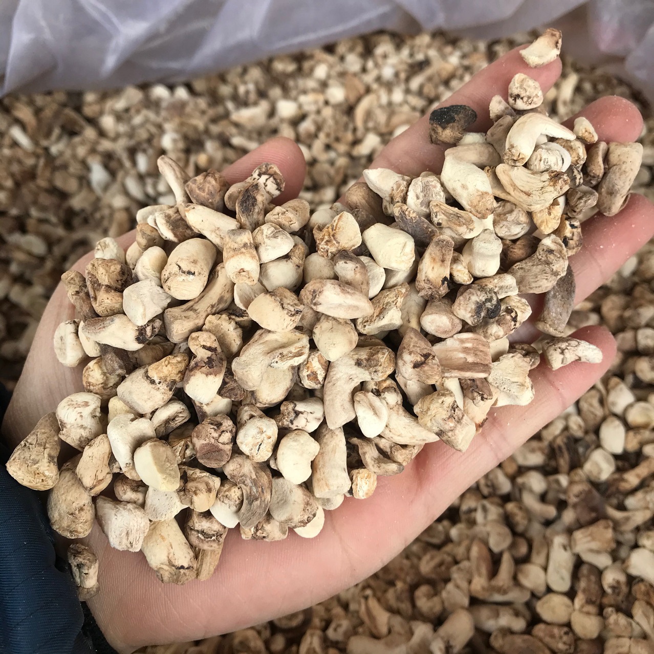 Шиитаке, полированные, смешанные продукты, оптовый рынок, повседневные запасы