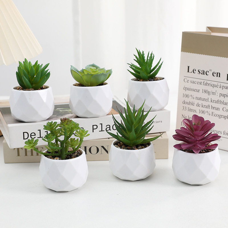 Ready-Made Artificial Succulent Potted Plants, Diamond Imitation Ceramic Plastic Pots, Cross-Border Hot-Selling Home Landscaping Decoration Ornaments Wholesale