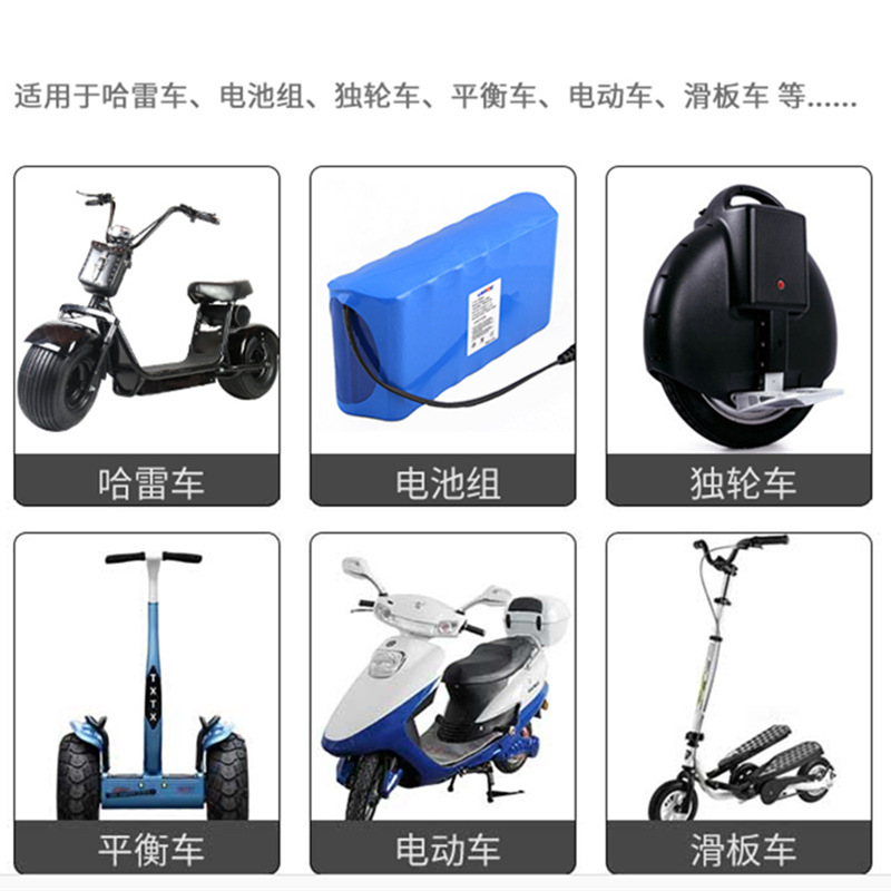 Lithium battery charger 48V2A one-wheel skateboard takeaway electric car 54.6v 54.8v Iron lithium lithium battery