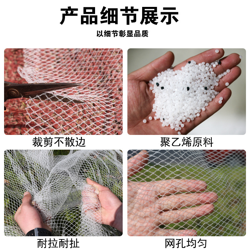 Wholesale Hail Net in Stock 40-100 Mesh Fruit Orchard Bird Net Fruit and Vegetable Farm Hail Net Supports Factory Inspection