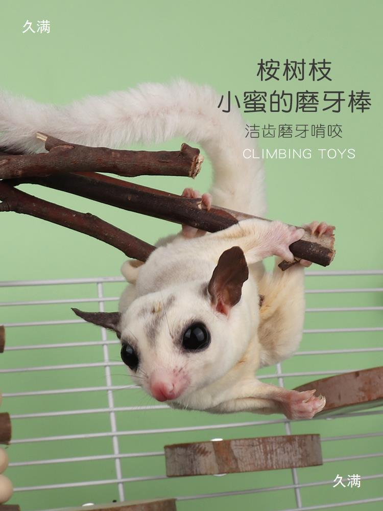 Eucalyptus Leaves, Honey Bag, Honey Quoll, Molar Teeth, Disinfection Mat, Eucalyptus Branches, Honey Cage Interior Decoration Toys