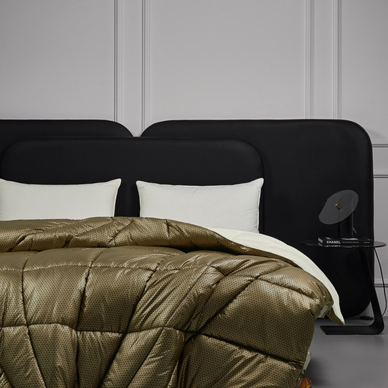 Cross-border black gold graphite thin self-heating antibacterial constant temperature quilt student dormitory single autumn and winter quilt core wholesale