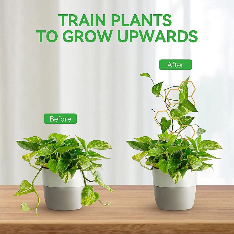 Betula Cedar gardening climbing frame plant bracket Mountain Turtle support Rod honeycomb iron frame creative plant fixing Rod