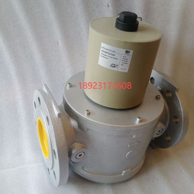 Электромагнитный клапан Shi Neng Sg50Rq/220 Sg40Rq/220 Sg32Rq/220 Sg25Rq/220