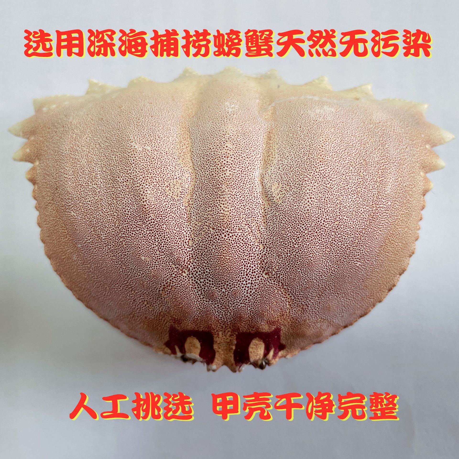 Minimum Order of 2000 Pieces Bread Crab Empty Shells Japanese Restaurant Yuanbao Crab Covers Crab Shells Cheese Crab Shells Dried Crab Shells