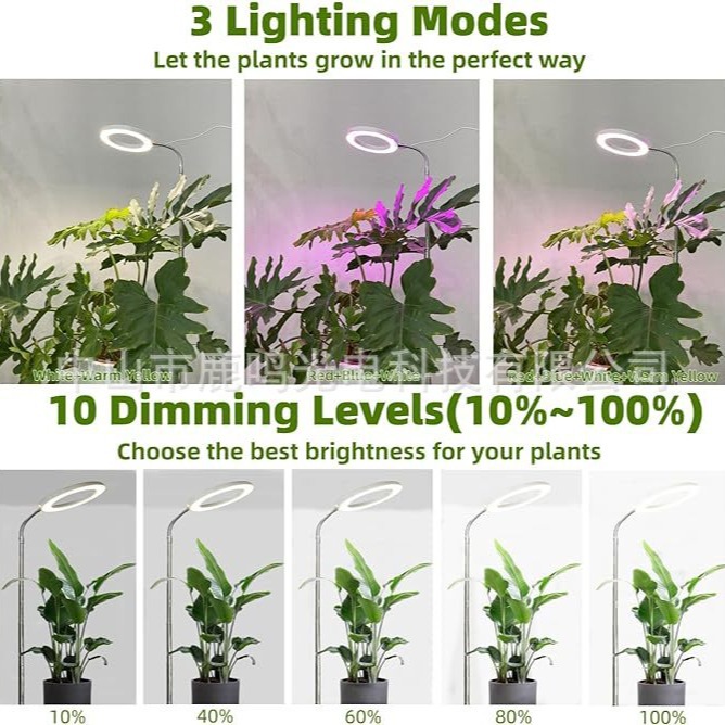 White Angel Ring Floor Plant Lamp Indoor Plant Growth Lamp Factory Direct Full Spectrum Telescopic Floor Succulent