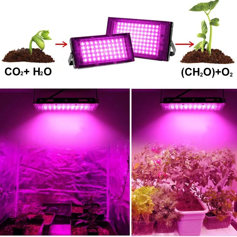 Cross-Border Supply of Led Full-Spectrum Plant Growth Lights for Seedling Planting and Flower Fill-In Lights