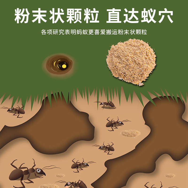 Foreign Trade Wholesale Ant Medicine 8G/Bag Factory Direct Sales English Export Ant Killing Indoor Ant Bait
