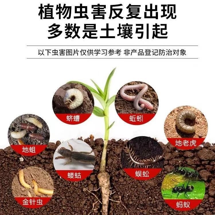 Yi% Biphenyl Thiamethoxam, Special Insecticide for Underground Pests in Vegetable Fields, Orchards and Field Ridges, Cutworms and Needle Insects