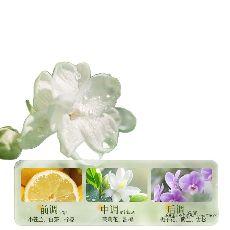 [Brand Hot Selling] Peking University Developed Vitex Oil Control Shampoo, Fluffy, Anti-Dandruff, Anti-Itch, Deep Cleansing, Smooth and Smooth