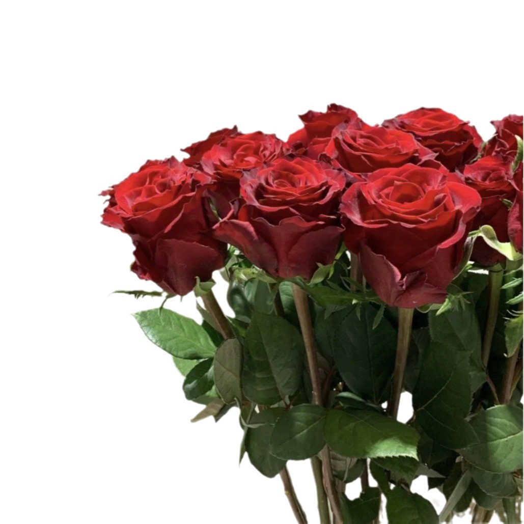 Freshly Picked Flowers from Yunnan, Direct Delivery Roses Wholesale for Home Use, Flower Shop Group Purchase, Bouquets for Stalls, Wedding Celebrations, Single Heads