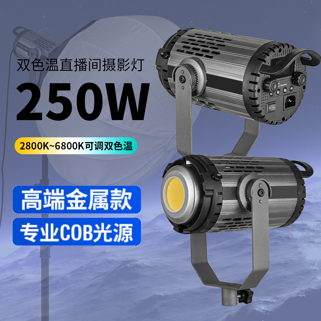 250W металлический наполнительный свет, софтбокс для фотосъемки