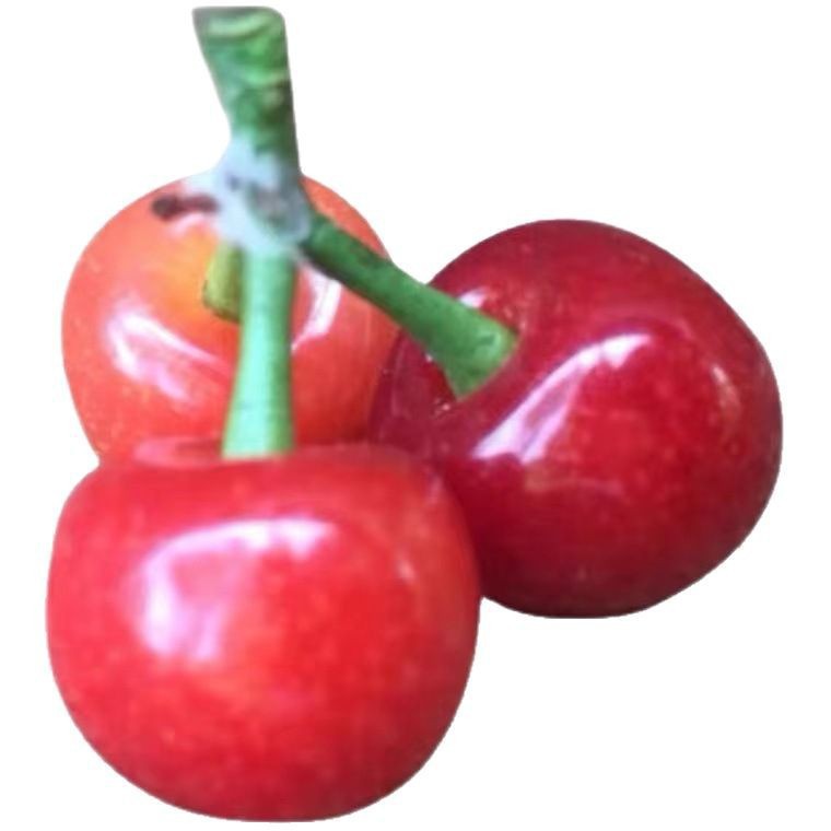 Fresh Small Sweet and Sour Cherries, Non-Fruit, Shandong Freshly Picked Cherries, En'Er Rice for Pregnant Women