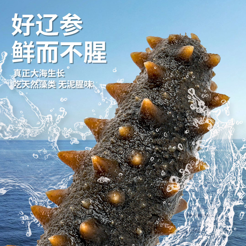 Dalian Sea Cucumber Manufacturer Wholesale 250g Dalian Sea Cucumber Liao Sashimi Fresh Steamed Ready-To-Eat Sea Cucumber with Q-Bomb Taste