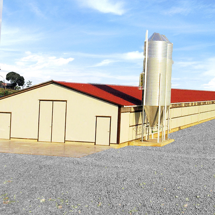 Hot galvanized steel structure chicken house export production Prefabricated steel structure chicken shed steel structure construction chicken farm
