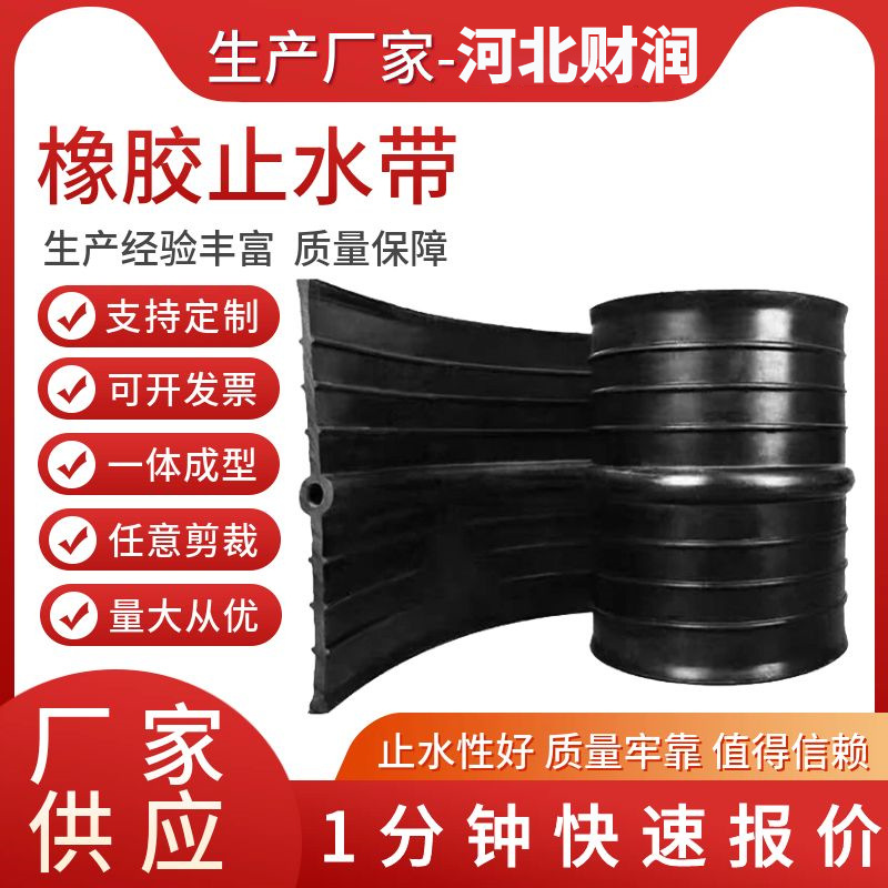 Supply of medium-buried rubber waterstop with external steel edge water conservancy building waterstop industrial rubber shaped parts