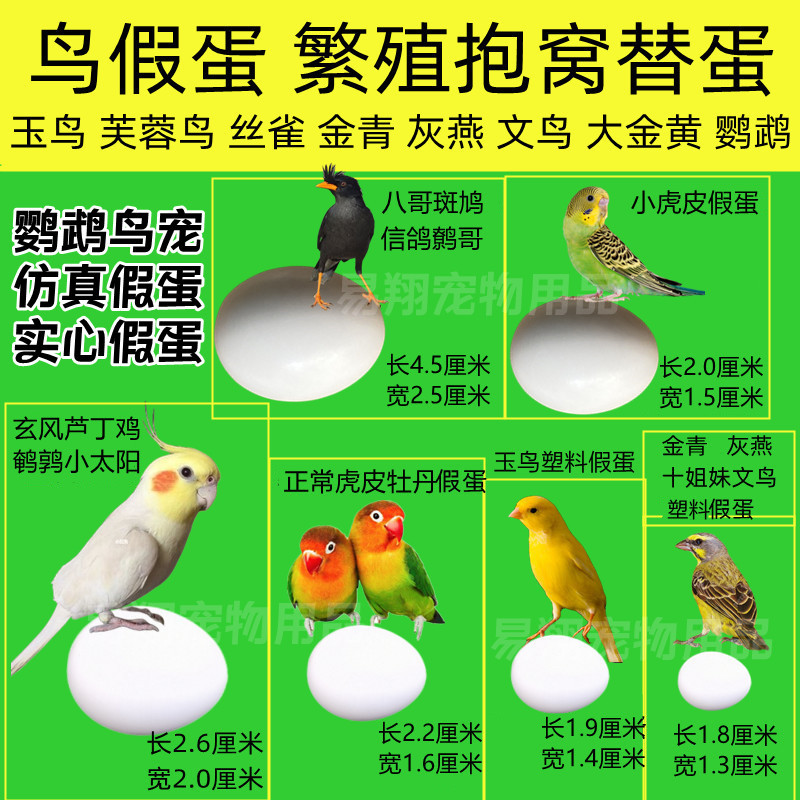 Имитированное яйцо для попугаев, подделка яйца для птиц