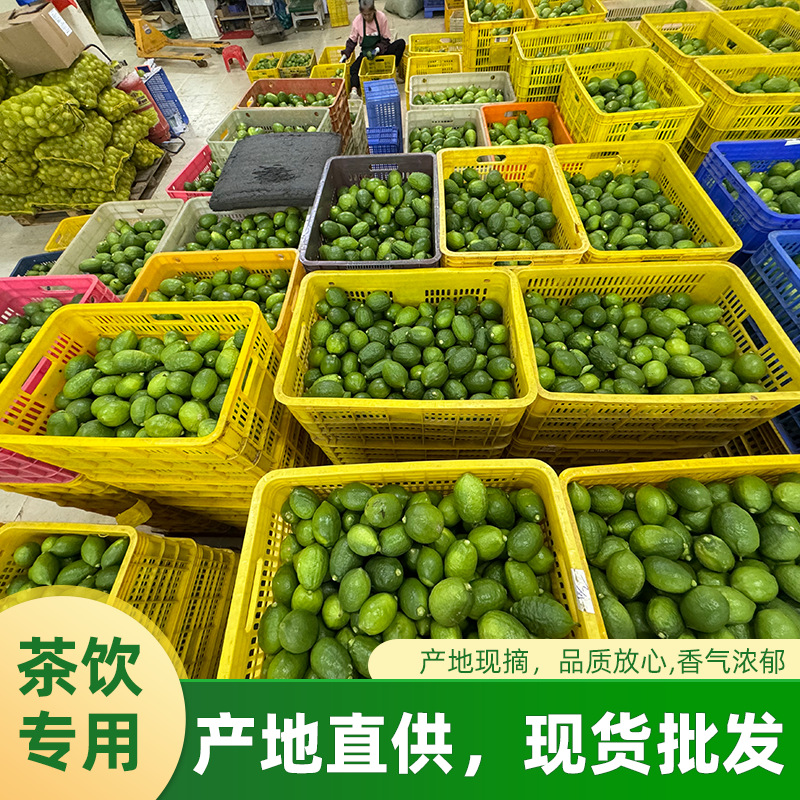 【】Guangdong Perfume Lemon Handmade Milk Tea Shop Four Seasons Seedless Grade 1 5kg Lime Handmade Milk Tea Special