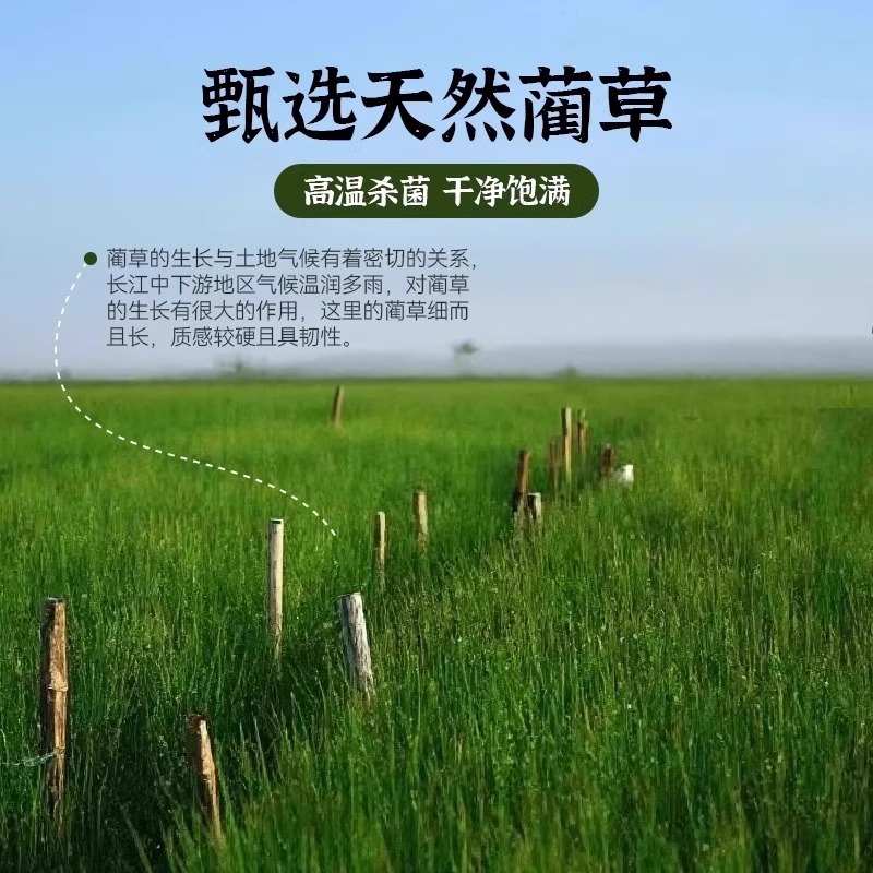 [Summer Hot Item] Summer Hemp Straw Pillow Mat Straw Pillow Cushion Tianlan Grass Double Pillow Sheet Cooling Mat Pillowcase