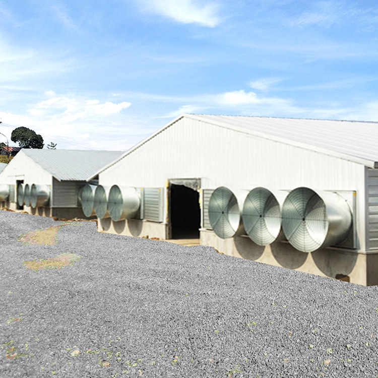 Supply light steel structure chicken coop export production contract steel structure engineering good thermal insulation performance Farm