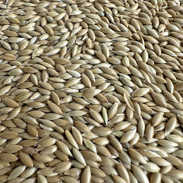 Selected Parrot Bird Food and Pigeon Food, One-Stop Distribution and Dropshipping, Pet Bird Food