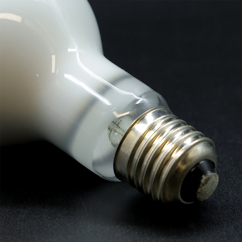 Reptile Climbing Pet Daytime Heating Bulb Frosted Daylight R63 50W