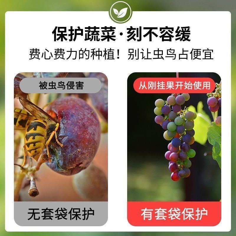 Non-woven Fruit Bagging, Grape Bag, Bird-proof, Insect-proof and Waterproof Special Fruit Bag, Seedling Bagging, Ready-made Wholesale