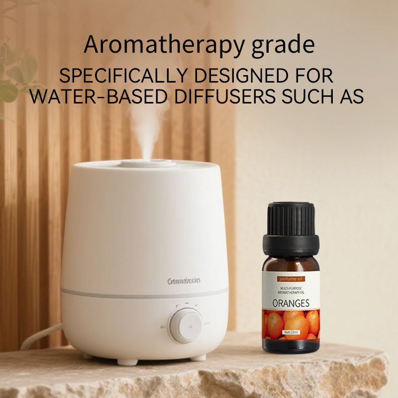Cross-Border Water-Soluble Aromatherapy Essential Oil 12 Pieces Commonly Used Aromatherapy DIY Essential Model Manufacturer Wholesale 10ml *12