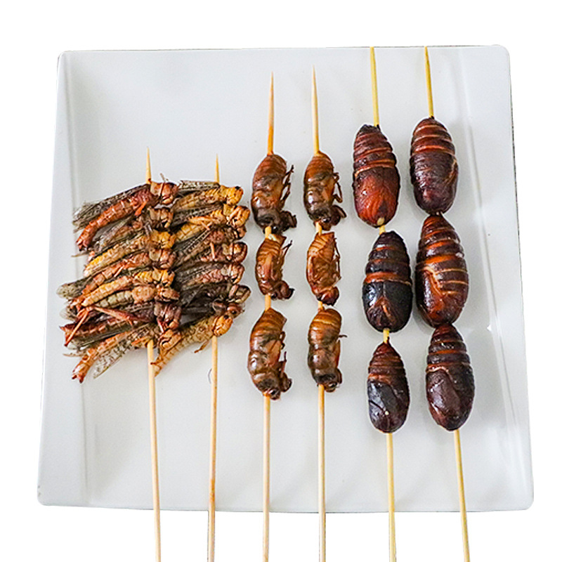 Featured barbecue insect string golden cicada string cicada pupa string grasshopper string commercial fried meat string semi-finished ingredients 20 strings