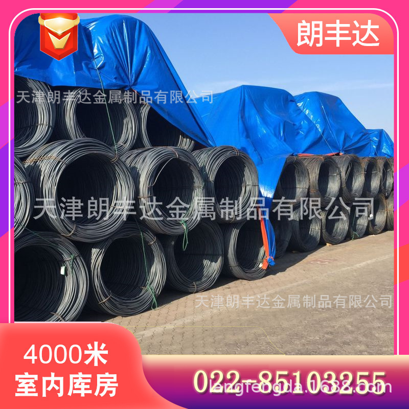 Baogang Swrch22A Cold Heading Round Steel Hot Rolled Diameter 6.5Mm10B21 Swrch6A Cold Heading Steel Wire