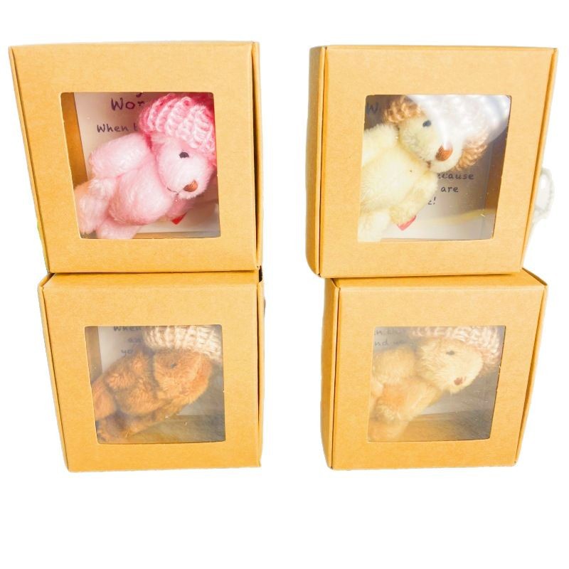Cross Border Pocket Teddy Bear Mini Plush Bear Boxed Gift Mini Plush Bear in Box
