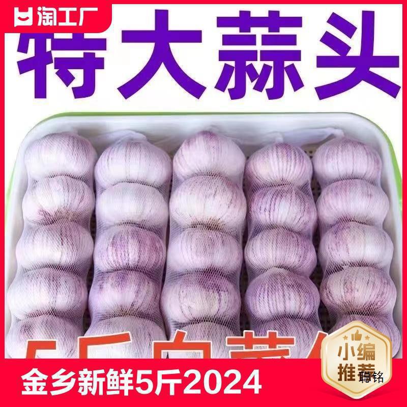 Свежий чеснок из Цзинсян 2.5кг оптовая продажа