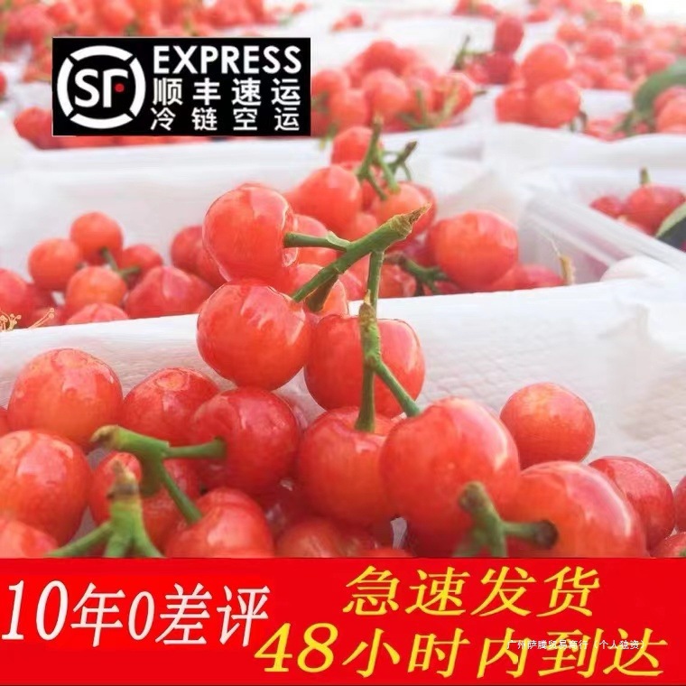 Свежие маленькие сладкие и кислые вишни, не фрукты, свежесобранные вишни Шаньдун, рис Эн'Эр для беременных