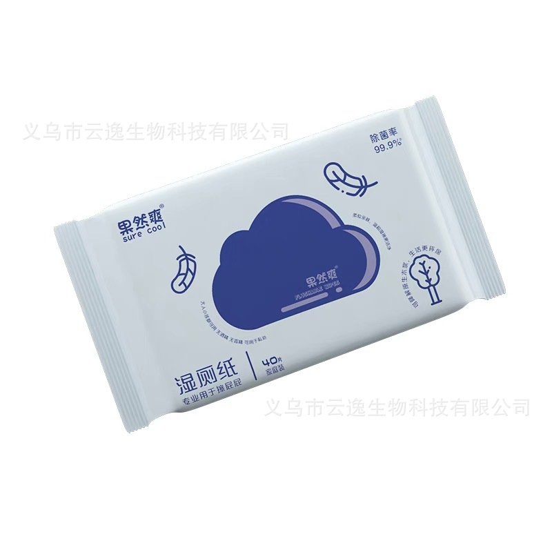 Wet Toilet Paper Can Be Flushed Directly into the Toilet, Large Package of Butt Wipes, Portable Antibacterial Toilet Paper, Wet Toilet Wipes Wholesale