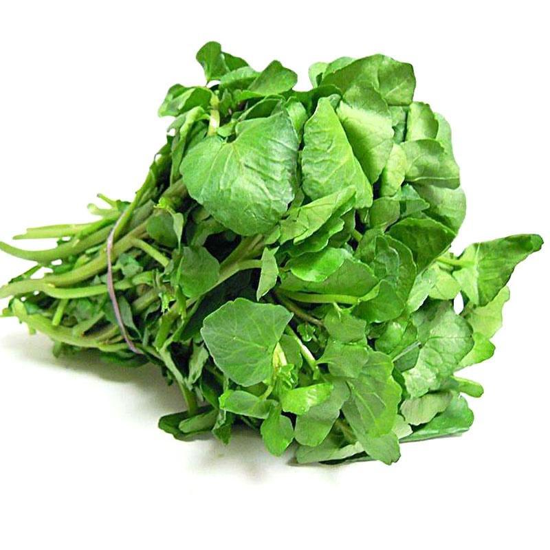 Watercress Seeds, Four-Season Vegetable Seeds, Water Mustard Vegetable Seeds, Potted Vegetable Seeds, Small Green Vegetable Seeds