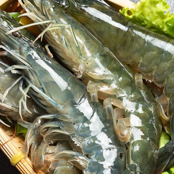 Large Shrimp Frozen Shrimp Quick-Frozen Large Shrimp Frozen Shrimp Salted Frozen Shrimp Sea Shrimp Raw Seafood Aquatic Products Wholesale 2000g Sf Express
