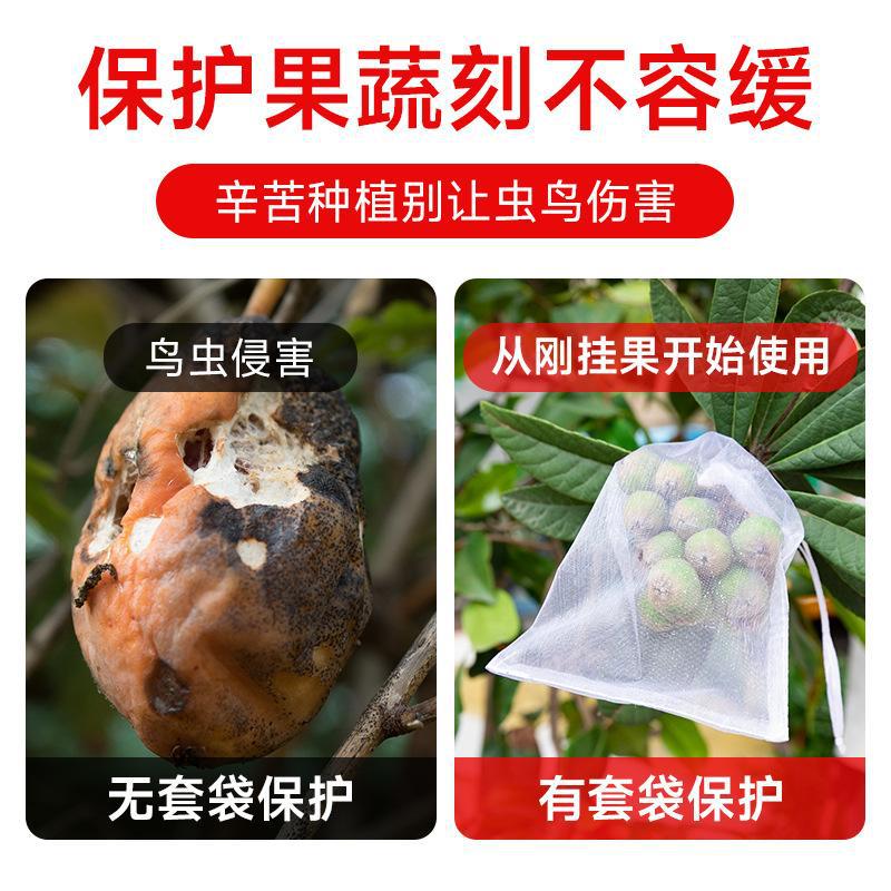 Fruit Bagging Anti-Bird Mesh Bag, Insect-Proof Bag for Melons and Fruits, Fig, Loquat, Grape, Peach, Strawberry Protection Bag