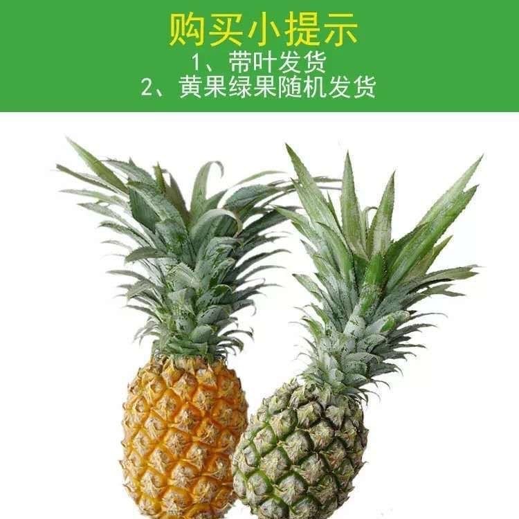 Yunnan Perfume Pineapple 4.5kg Whole Box Fruit 10 Free Shipping Wholesale 5 Non-Taiwanese Hainan Golden Diamond Pineapple Yunnan Specialty