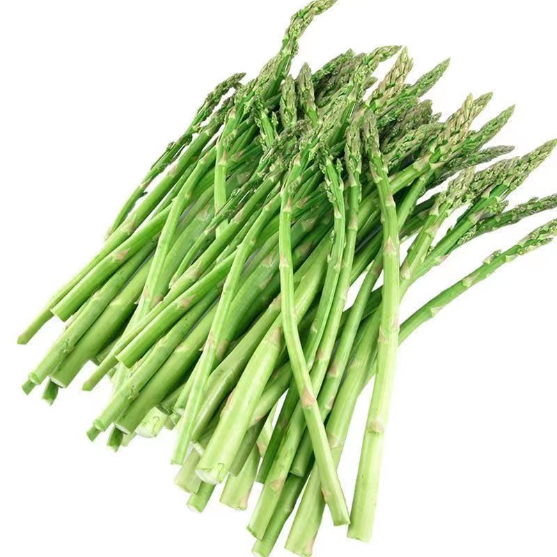 Factory Direct Sales of Four-Season Planting Perennial Asparagus Seeds, Fresh and Tender Potted Green Asparagus Seeds, Vegetable Seeds