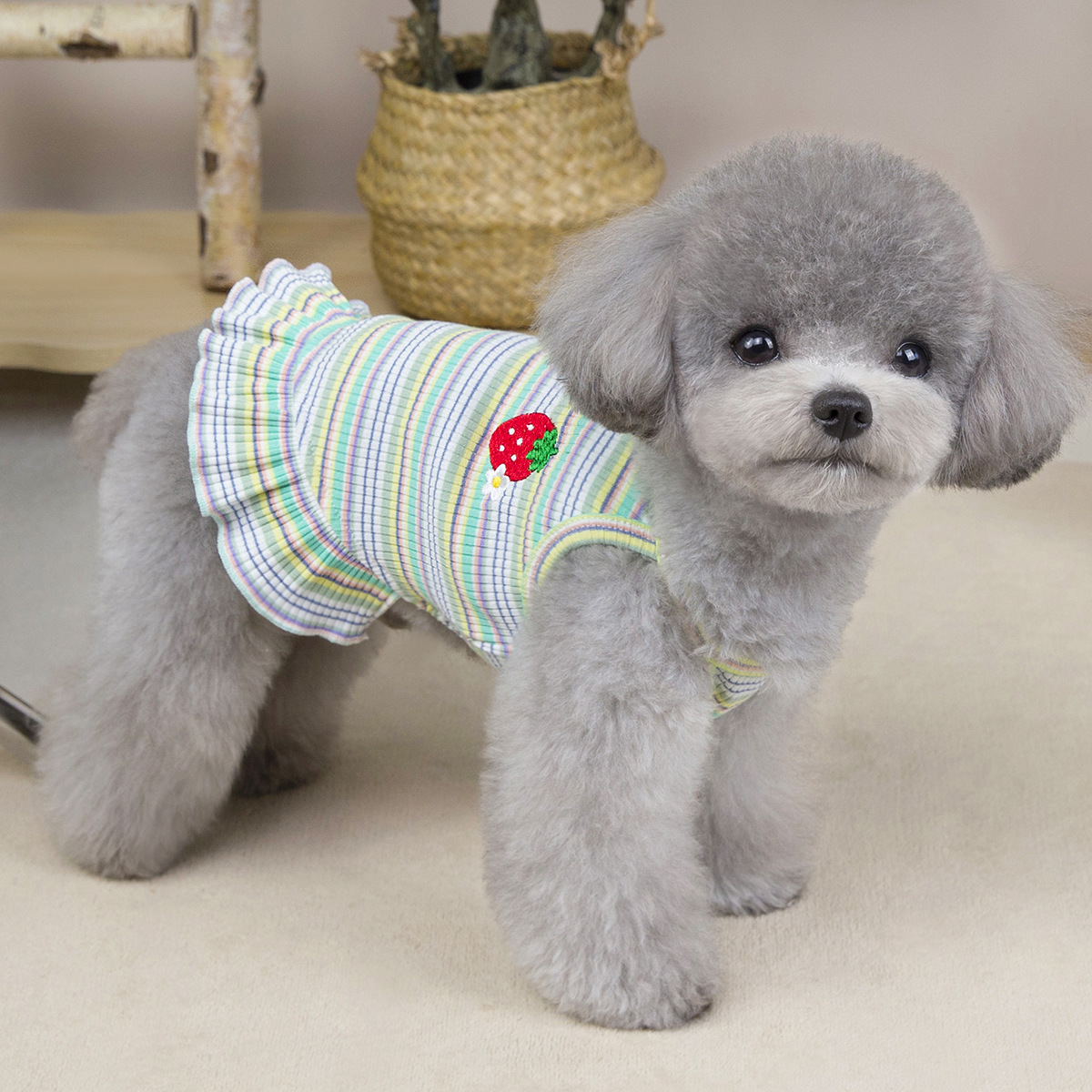 Pet Clothes Spring and Summer New Arrival Striped Strawberry Skirt Teddy Bitter Panda Kitty Small Dog Summer Princess dress