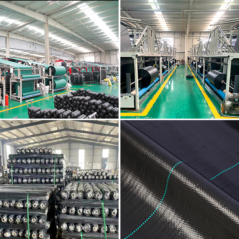 Amazon Grass-Proof Cloth, Anti-Aging Black Grass Cover Cloth, Cross-Border New Material, Gardening Ground Cloth, Orchard Weed-Killing Cloth Wholesale